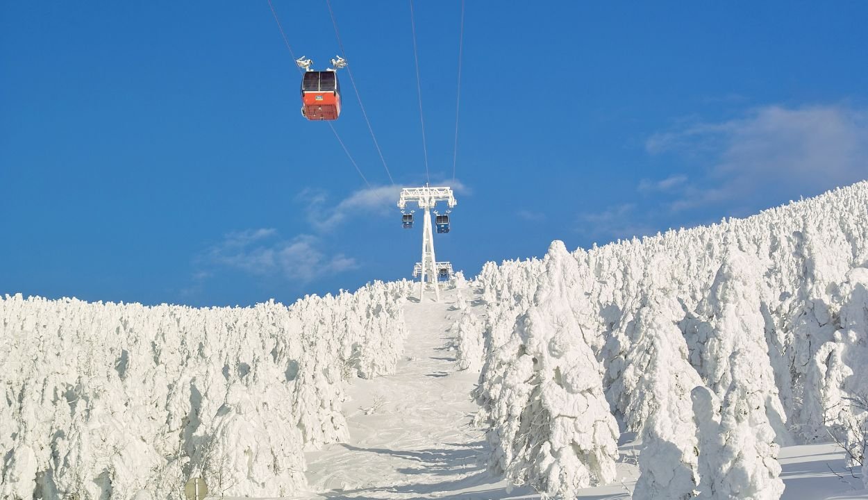 Himachal Family Vacation with Activities